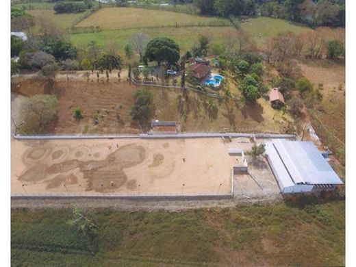 ‏קרקע ב  Chepo, Distrito de Chepo