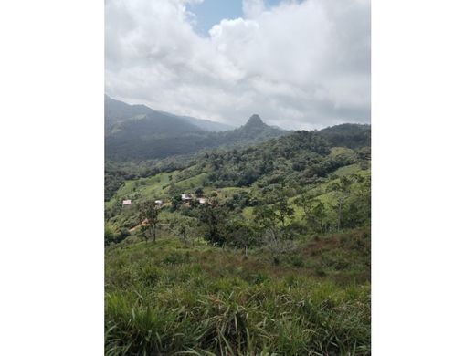 Ferme à Chame, Distrito de Chame