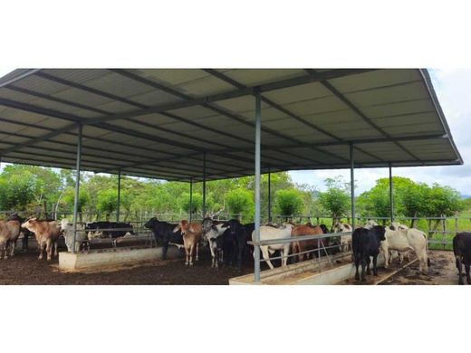 Farmhouse in Las Lajas, Distrito de San Félix