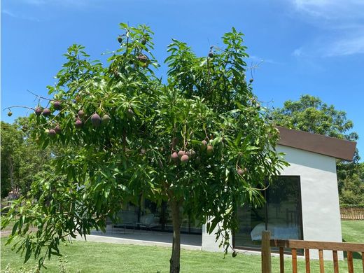 Country House in Chame, Distrito de Chame