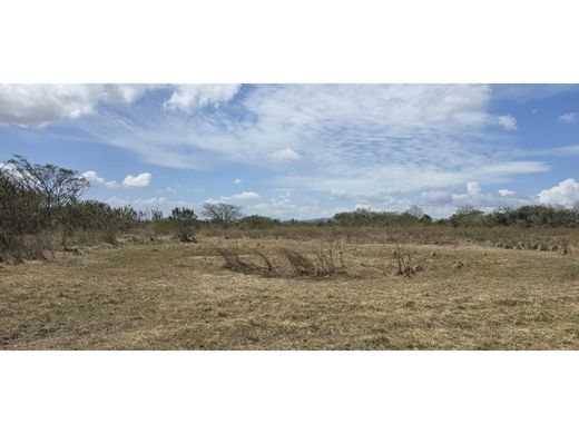 Land in Penonomé, Distrito Penonomé