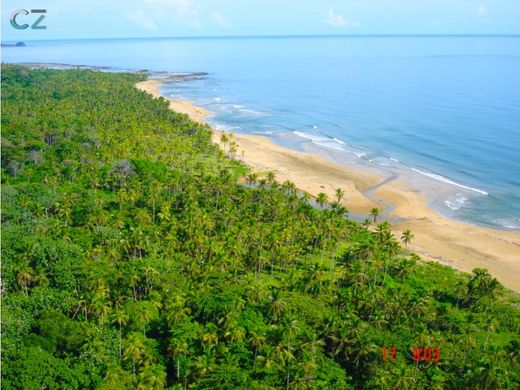 Arsa Palenque, Distrito de Colón