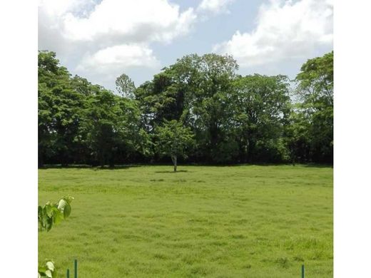 Quinta rústica - Changuinola, Distrito de Changuinola