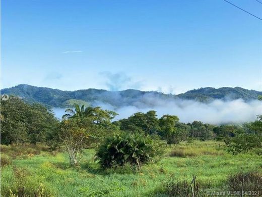 Terreno en Buena Vista, Distrito de Colón