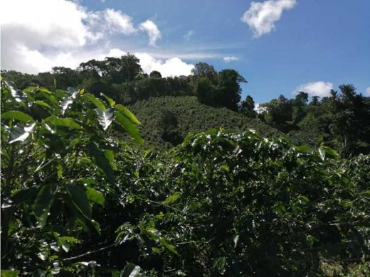 地皮  Río Sereno, Distrito de Renacimiento