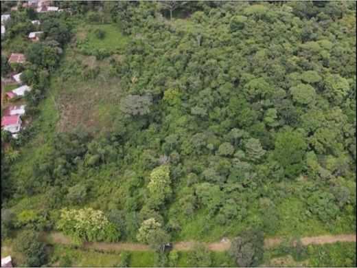 Terreno en Pedregal, Distrito de Panamá
