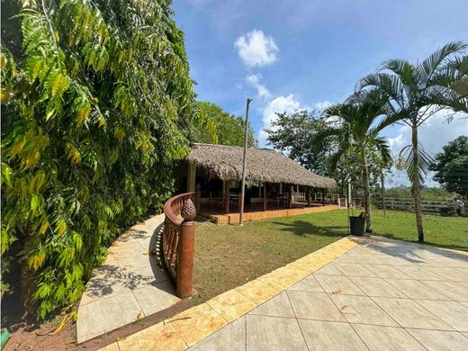 전원/농가 / La Chorrera, Distrito de La Chorrera