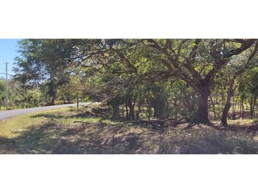 Αγροτεμάχιο σε David, Distrito de David