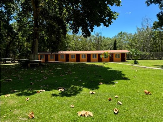 Ferme à Antón, Distrito de Antón