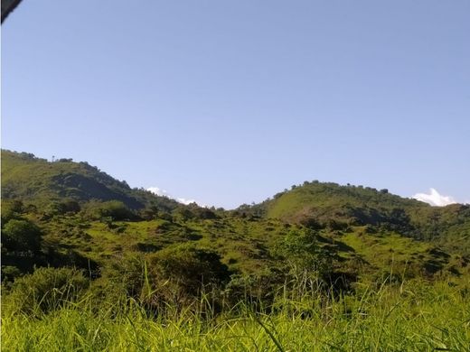 Terreno a Olá, Distrito de Olá