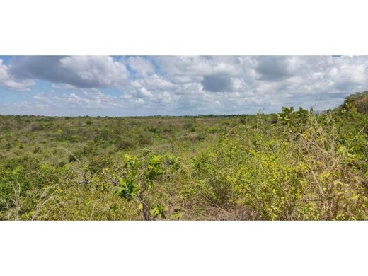 Grond in San Carlos, Distrito de San Carlos
