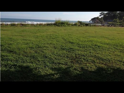 Land in San Carlos, Distrito de San Carlos