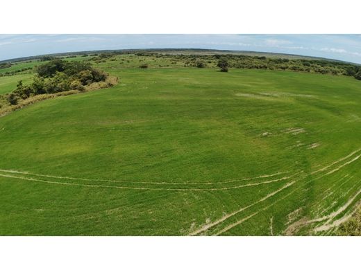Ferme à Antón, Distrito de Antón