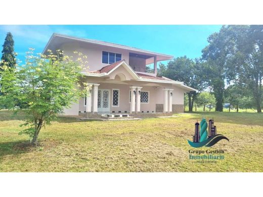 豪宅  David, Distrito de David