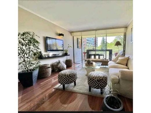 Appartamento a Santiago del Cile, Provincia de Santiago de Chile