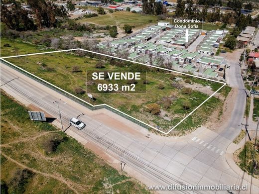 Arsa Illapel, Provincia de Choapa
