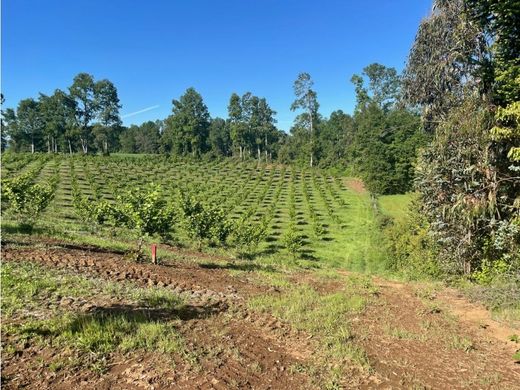 Boerderij in Loncoche, Provincia de Cautín