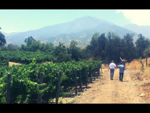 أرض ﻓﻲ Buin, Provincia de Maipo