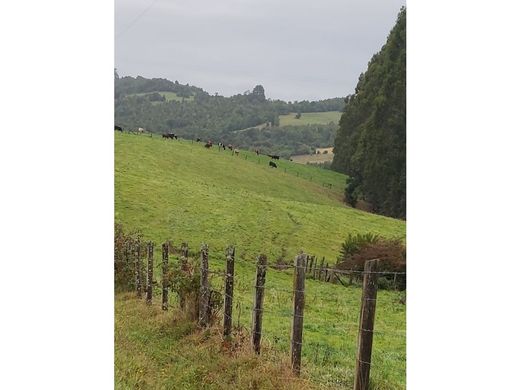 아파트 / Los Muermos, Provincia de Llanquihue