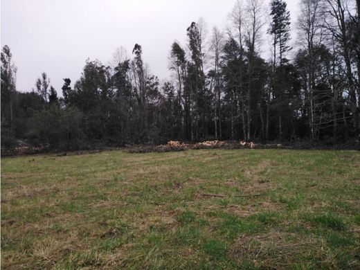 Αγροτεμάχιο σε Villarrica, Provincia de Cautín