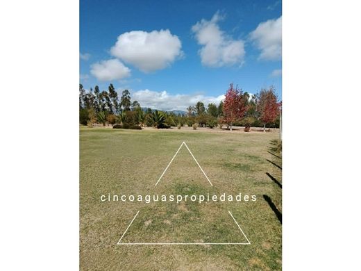 Arsa Catapilco, Petorca Province