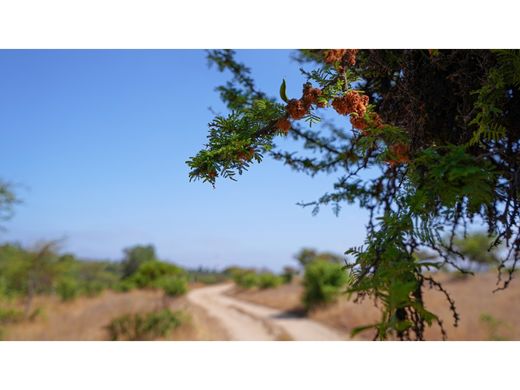 Land in Villa Alemana, Provincia de Marga Marga