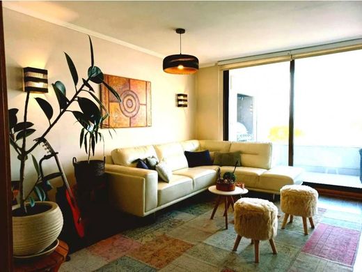 套间/公寓  圣地亚哥, Provincia de Santiago