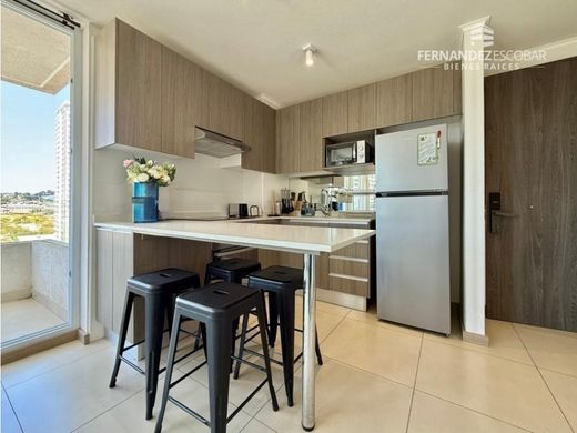 Daire Concón, Provincia de Valparaíso