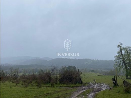 村舍/农舍  La Unión, Provincia del Ranco