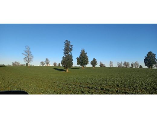 Farmhouse in Freire, Provincia de Cautín