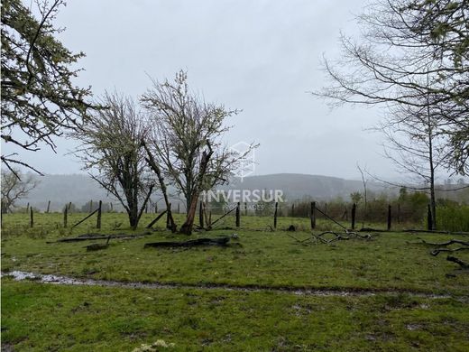 Land in La Unión, Provincia del Ranco