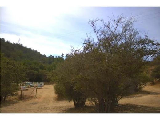 Terreno en Quilpué, Provincia de Marga Marga