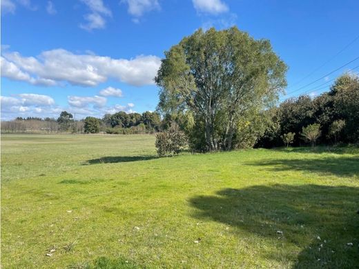 Boerderij in Freire, Provincia de Cautín