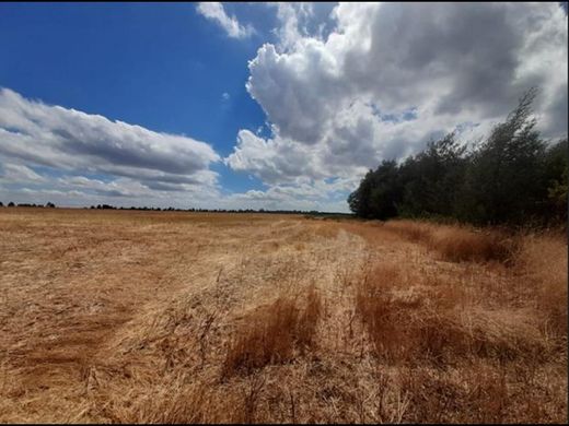 ‏בתים כפריים או חוות ב  Mulchén, Provincia de Biobío