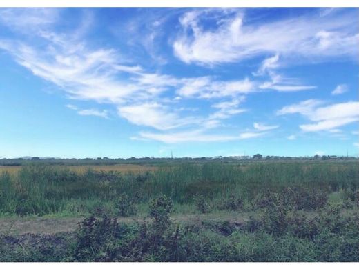 ‏קרקע ב  Samborondón, Cantón Samborondón