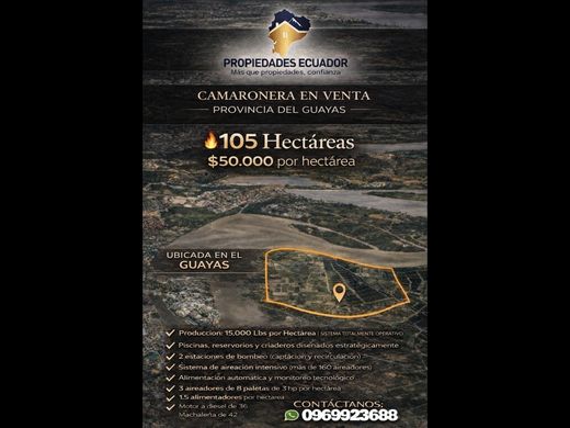 Land in Guayaquil, Cantón Guayaquil