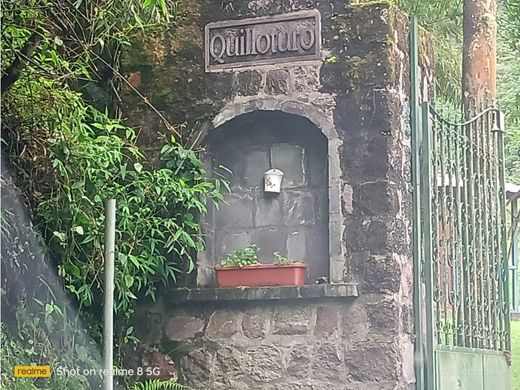 Arsa Quito, Cantón Quito