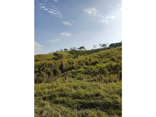 Gutshaus oder Landhaus in Flavio Alfaro, Provincia de Manabí