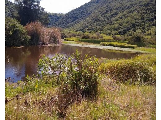 Otavalo, Cantón Otavaloのカントリー風またはファームハウス