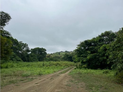 أرض ﻓﻲ Puerto López, Provincia de Manabí