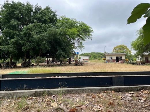 토지 / Guayaquil, Cantón Guayaquil