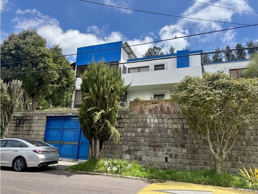 Офис, Кито, Cantón Quito