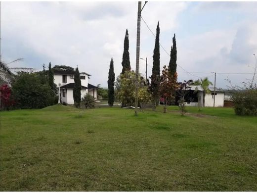 Ferme à Quininde, Cantón Quinindé