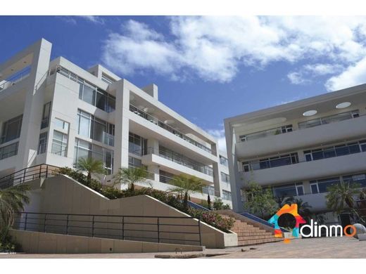 办公室  基多, Cantón Quito