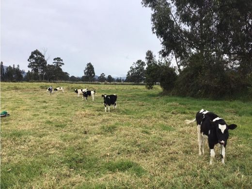 Rural or Farmhouse in Cayambe, Cantón Cayambe