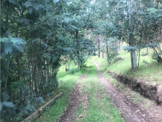 Yaruguí, Cantón Quitoの土地