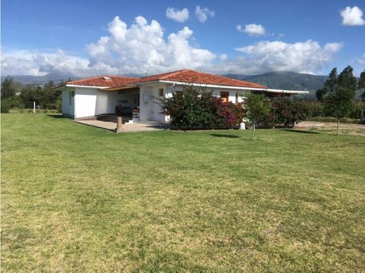 Luxe woning in Puembo, Provincia de Pichincha