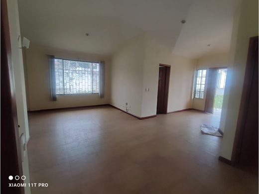 ‏קרקע ב  קיטו, Cantón Quito