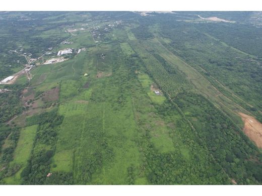 토지 / Guayaquil, Cantón Guayaquil