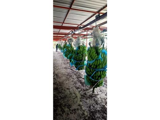 ‏בתים כפריים או חוות ב  La Troncal, Provincia del Cañar